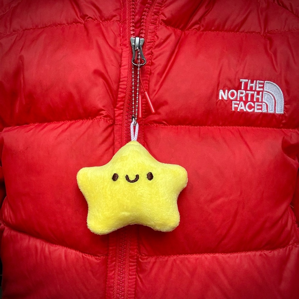⭐ NEW Smiley Star Plush Bag Charm/ Zipper Pull/ Keychain/ Tree Topper ⭐ - Picture 2 of 5